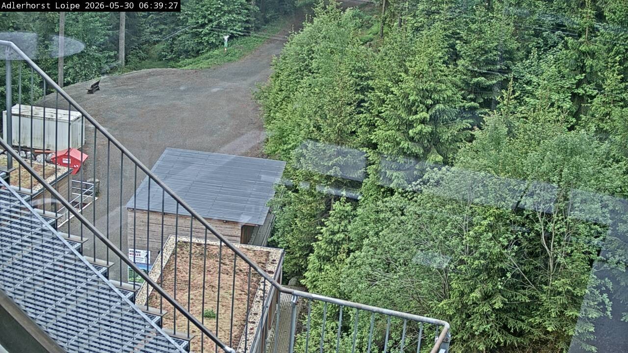 Archiv Foto Webcam Willingen: Adlerhorst Loipe