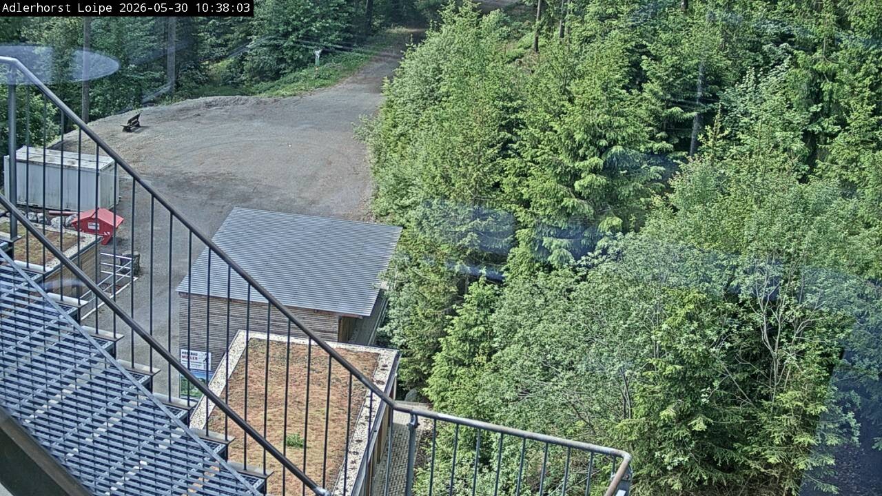 Archiv Foto Webcam Willingen: Adlerhorst Loipe