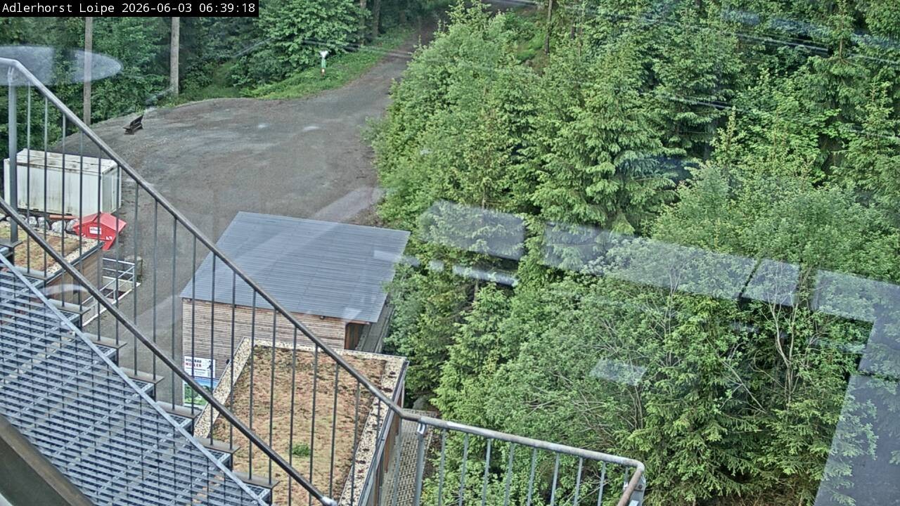 Archiv Foto Webcam Willingen: Adlerhorst Loipe