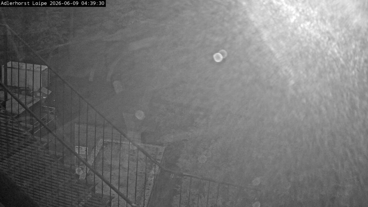Archiv Foto Webcam Willingen: Adlerhorst Loipe