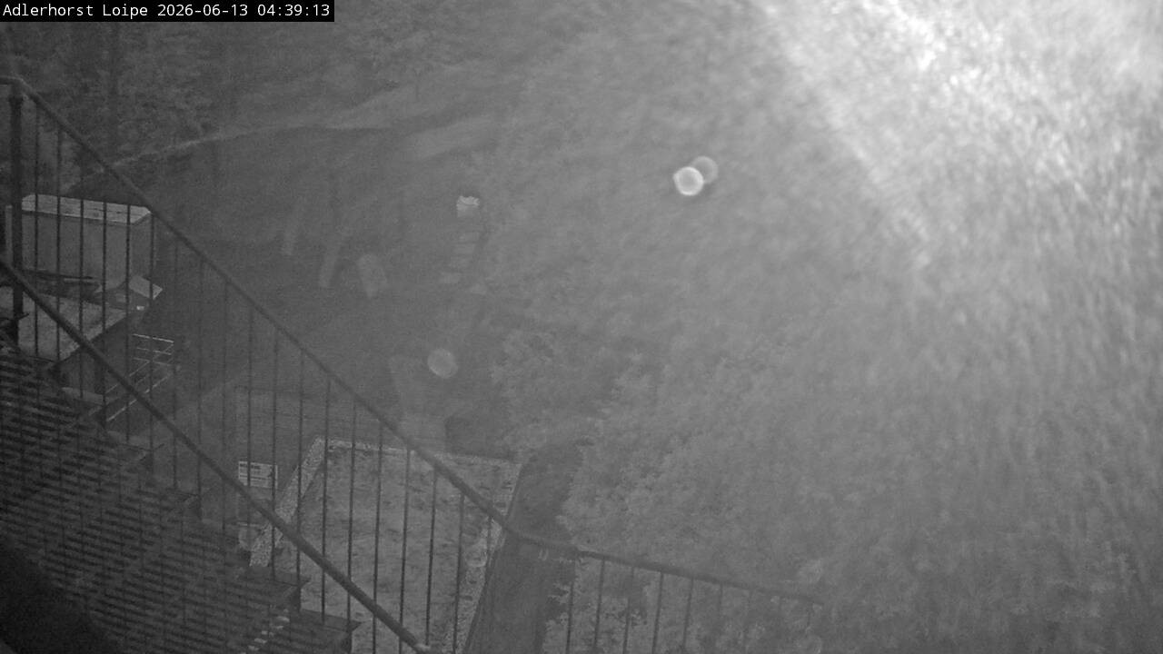 Archiv Foto Webcam Willingen: Adlerhorst Loipe