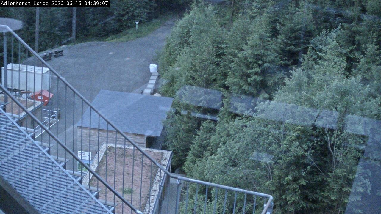 Archiv Foto Webcam Willingen: Adlerhorst Loipe
