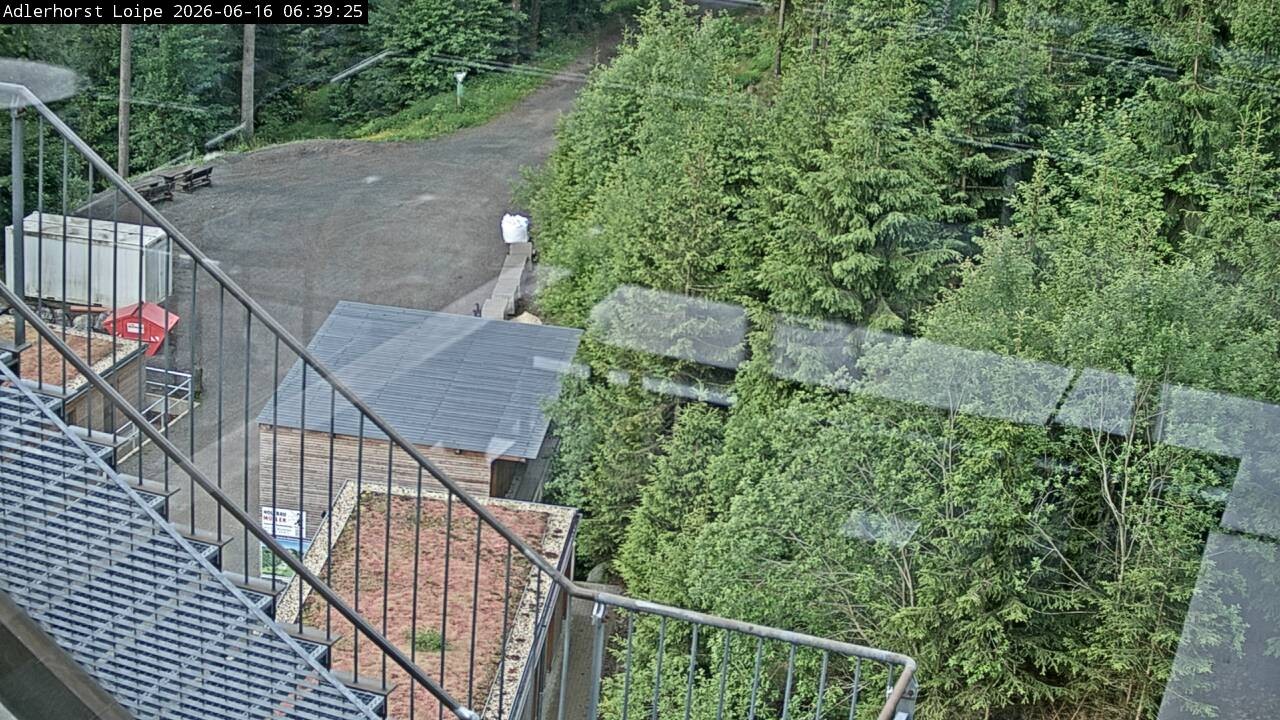 Archiv Foto Webcam Willingen: Adlerhorst Loipe