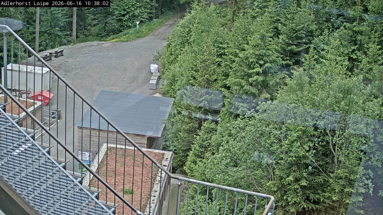 Archiv Foto Webcam Willingen: Adlerhorst Loipe