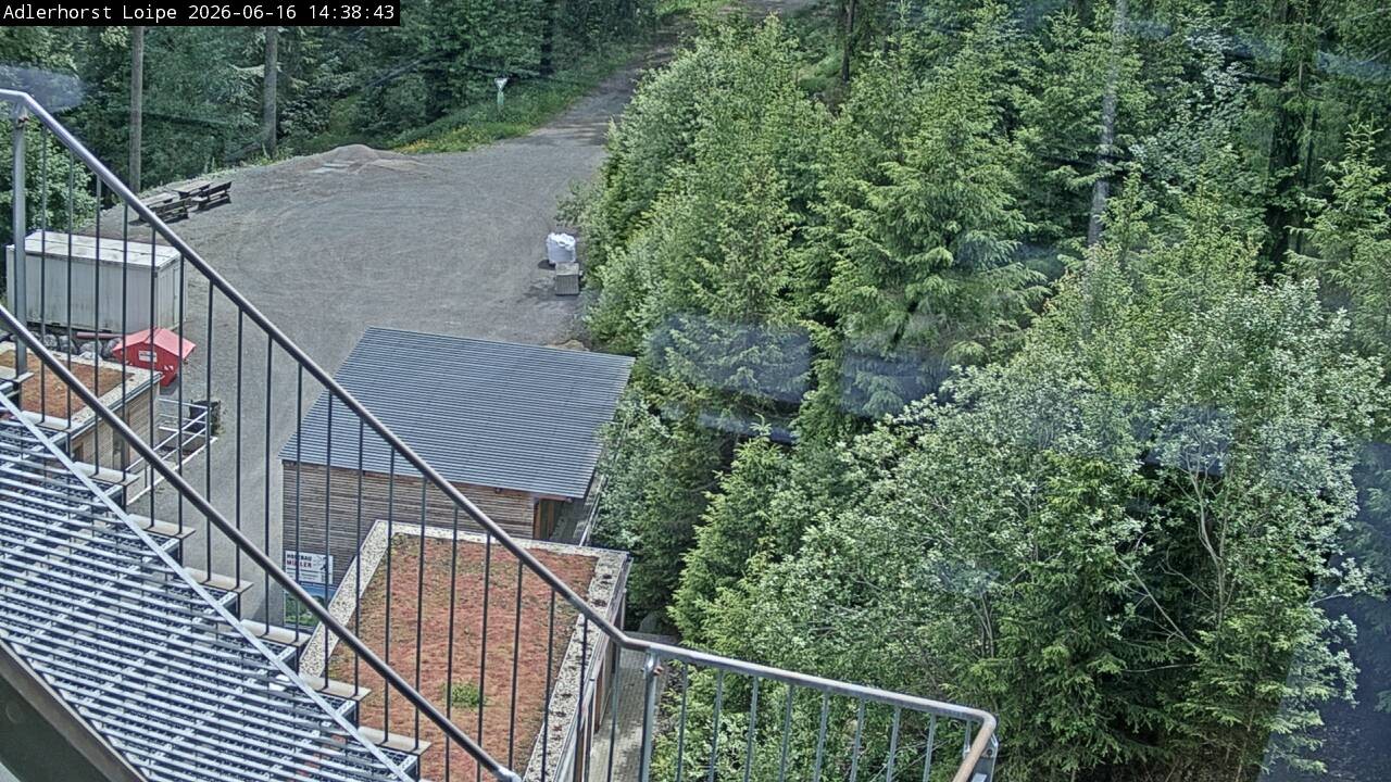Archiv Foto Webcam Willingen: Adlerhorst Loipe