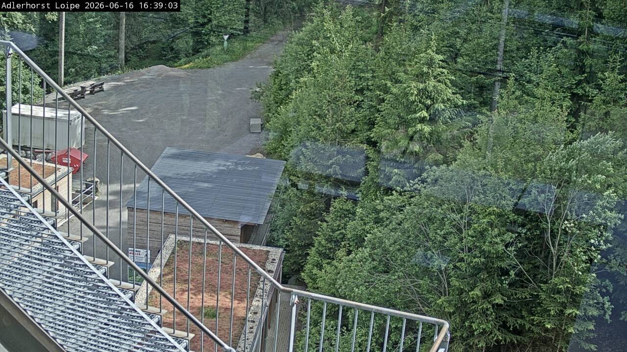 Archiv Foto Webcam Willingen: Adlerhorst Loipe