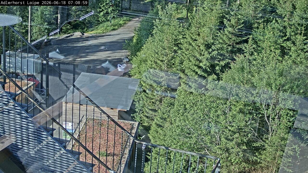 Archived image Webcam Willingen: Trail at Ski Jumping Area