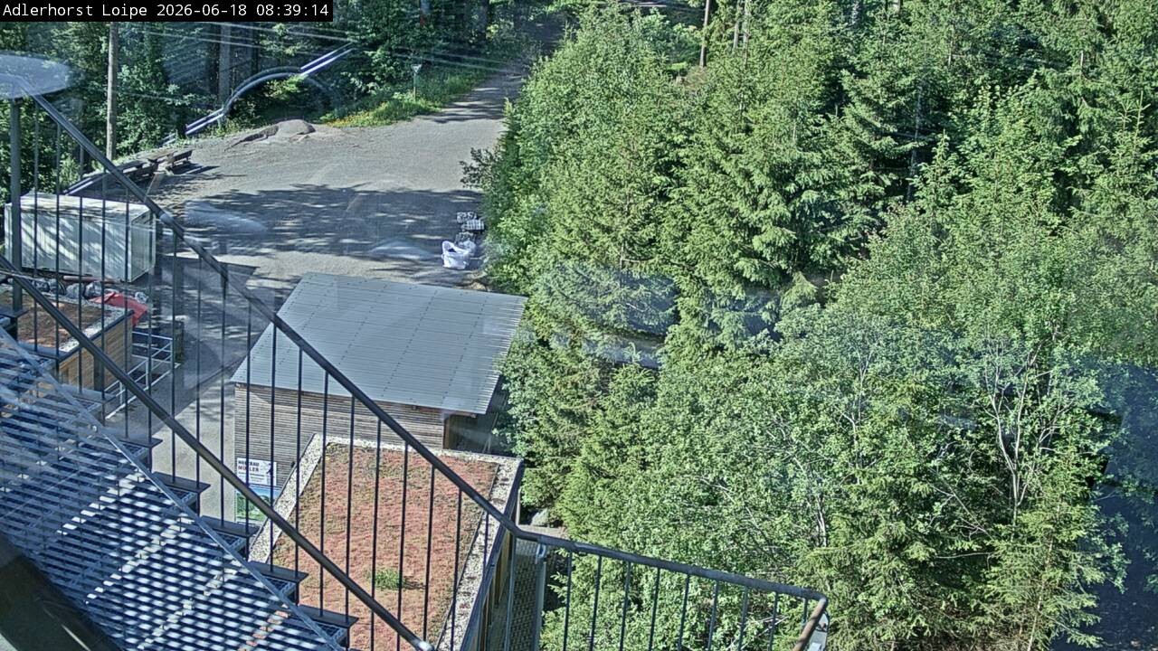 Archiv Foto Webcam Willingen: Adlerhorst Loipe