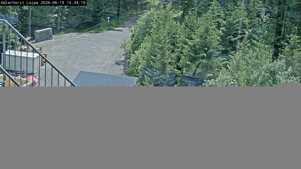Archived image Webcam Willingen: Trail at Ski Jumping Area