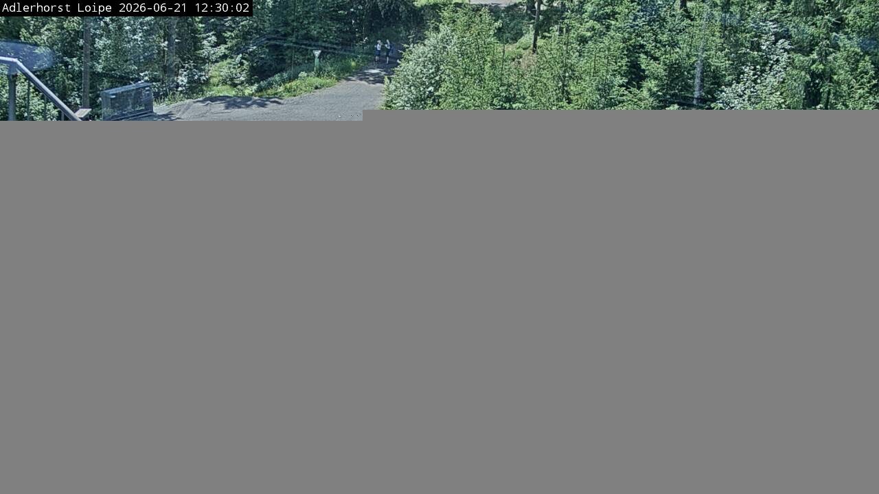 Archiv Foto Webcam Willingen: Adlerhorst Loipe