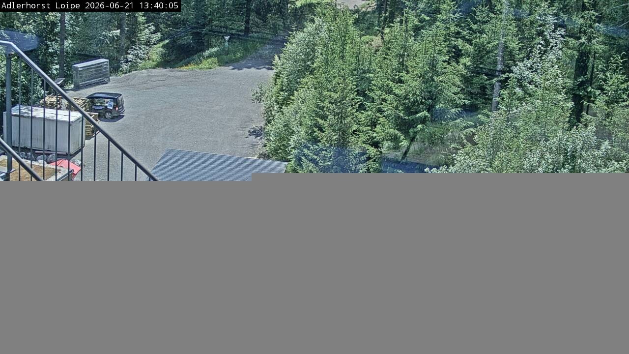 Archiv Foto Webcam Willingen: Adlerhorst Loipe