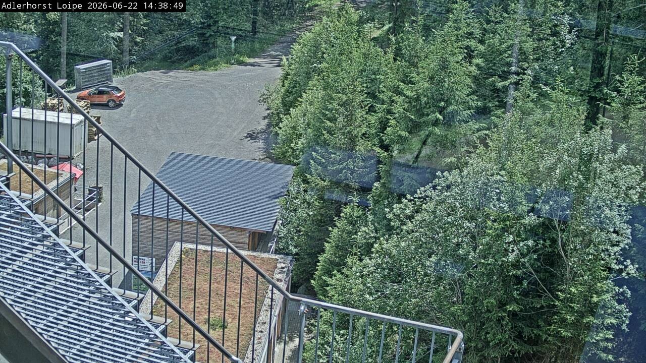 Archiv Foto Webcam Willingen: Adlerhorst Loipe