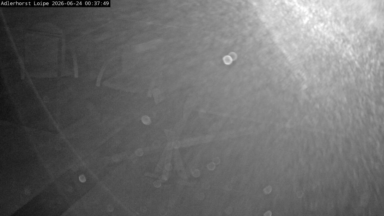 Archiv Foto Webcam Willingen: Adlerhorst Loipe
