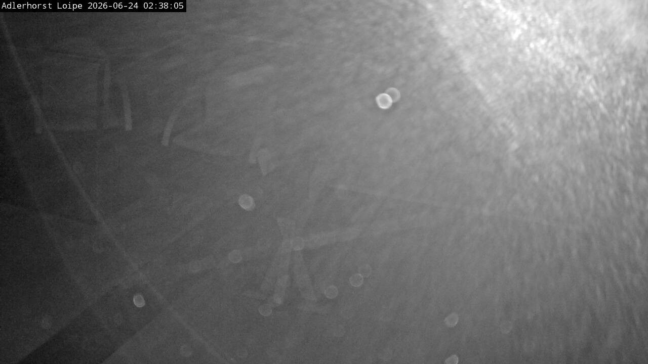 Archiv Foto Webcam Willingen: Adlerhorst Loipe