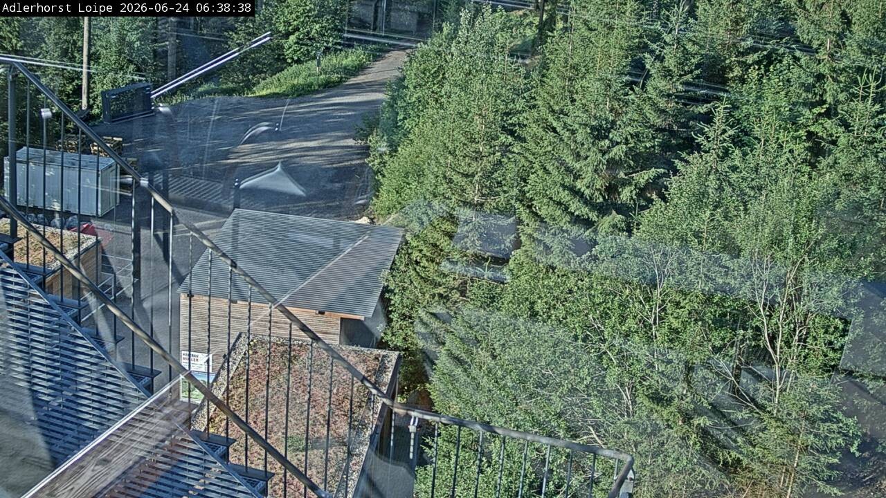 Archiv Foto Webcam Willingen: Adlerhorst Loipe