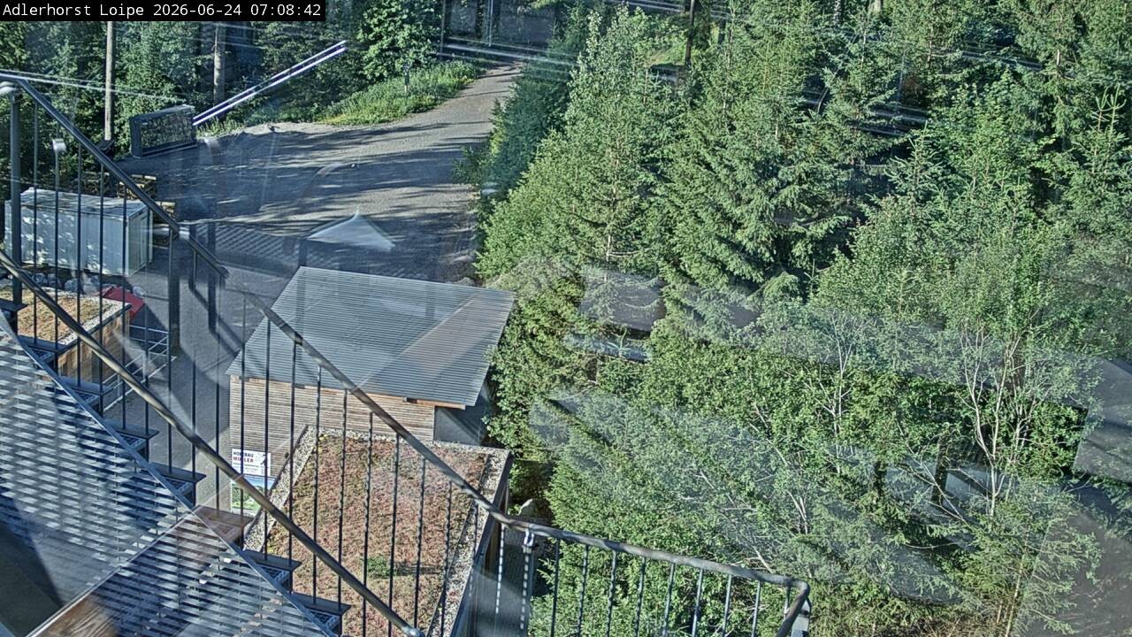 Archiv Foto Webcam Willingen: Adlerhorst Loipe