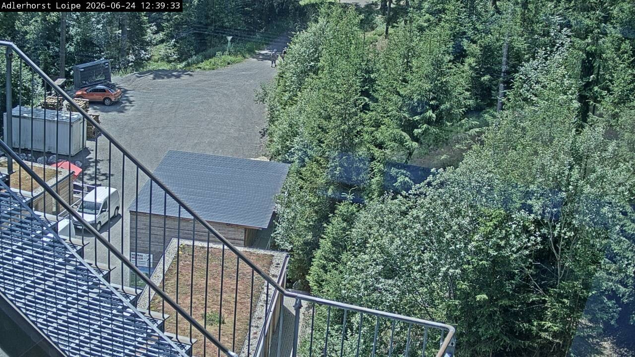 Archiv Foto Webcam Willingen: Adlerhorst Loipe