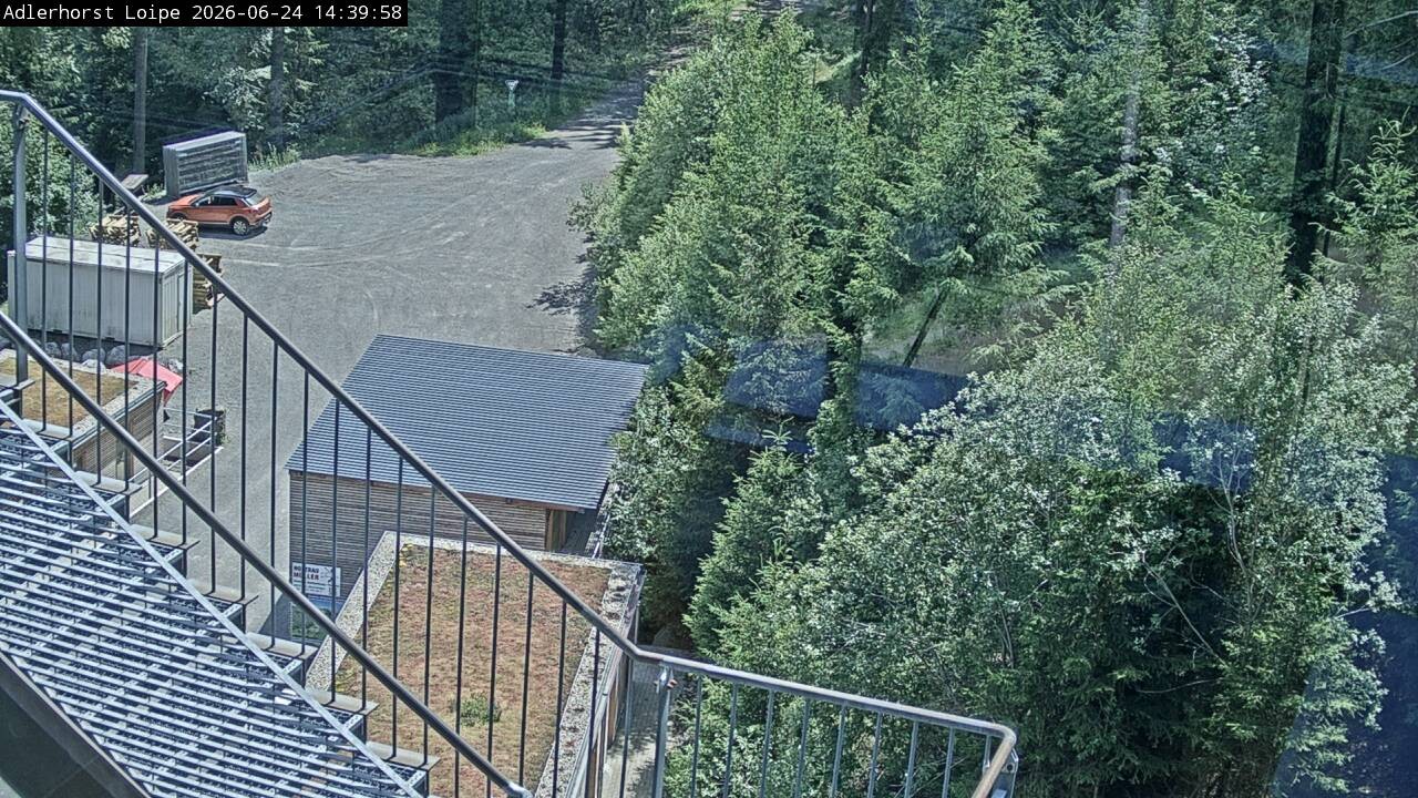 Archiv Foto Webcam Willingen: Adlerhorst Loipe
