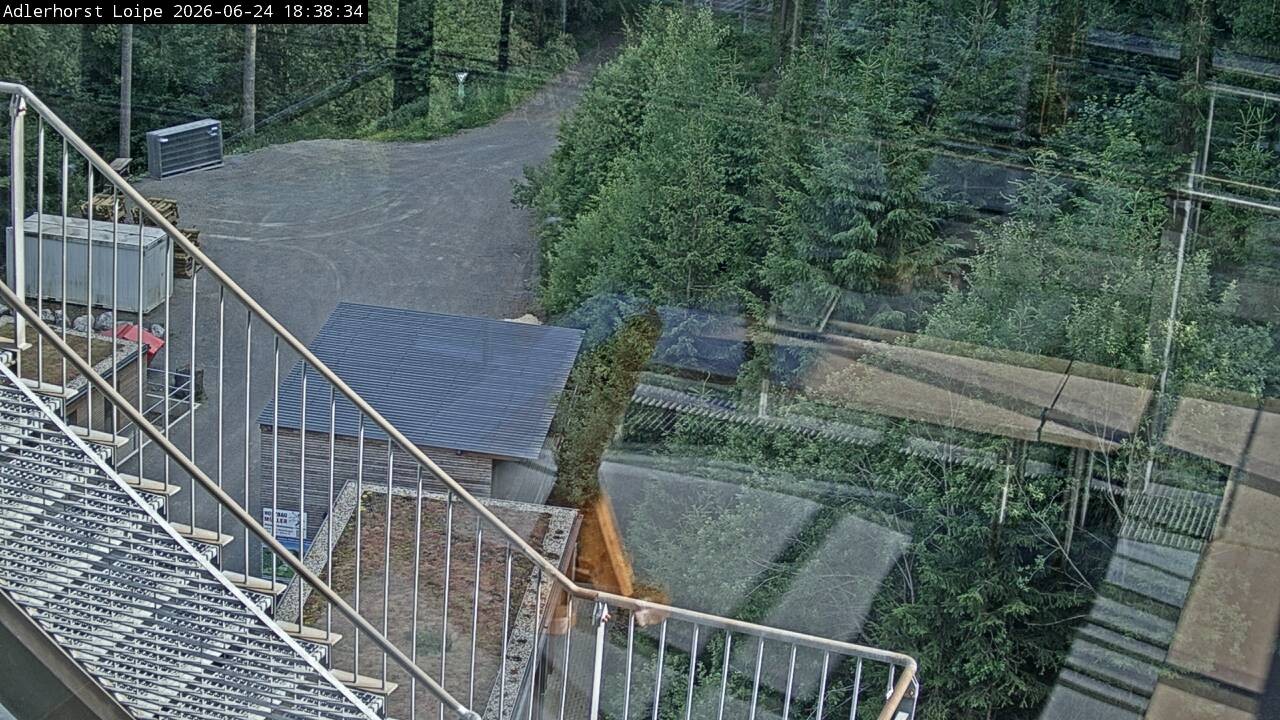 Archiv Foto Webcam Willingen: Adlerhorst Loipe