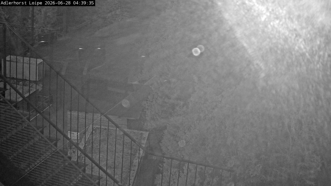 Archiv Foto Webcam Willingen: Adlerhorst Loipe