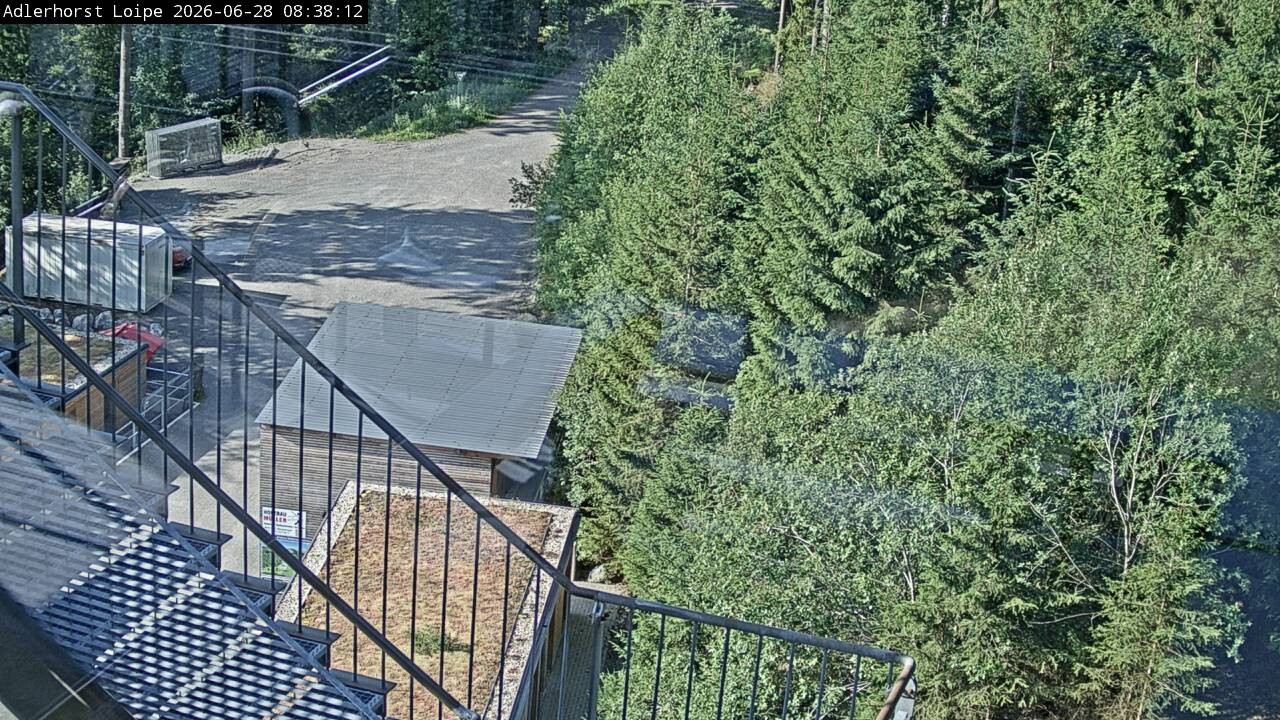 Archiv Foto Webcam Willingen: Adlerhorst Loipe