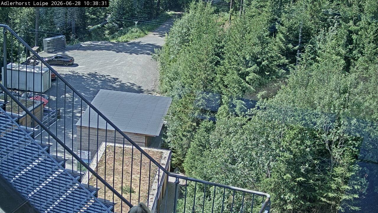 Archiv Foto Webcam Willingen: Adlerhorst Loipe