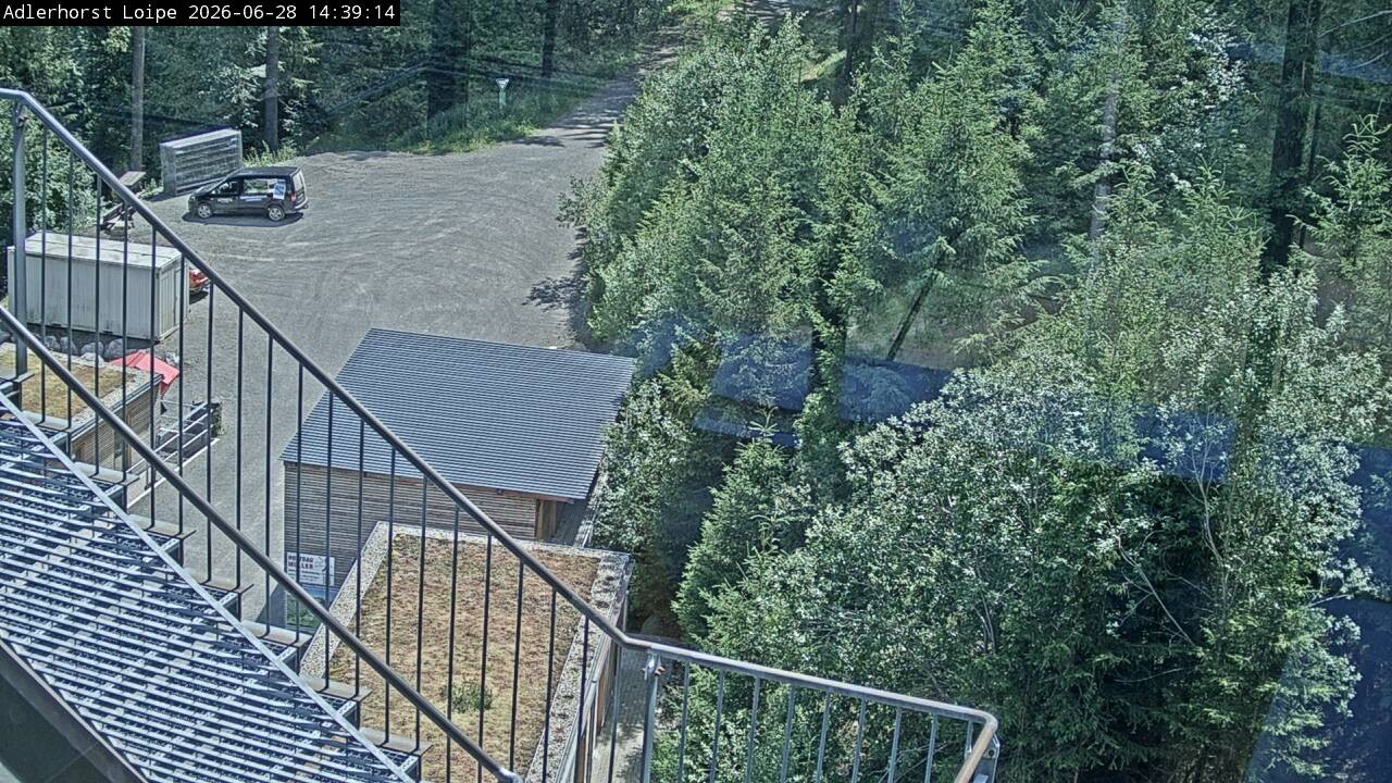 Archiv Foto Webcam Willingen: Adlerhorst Loipe