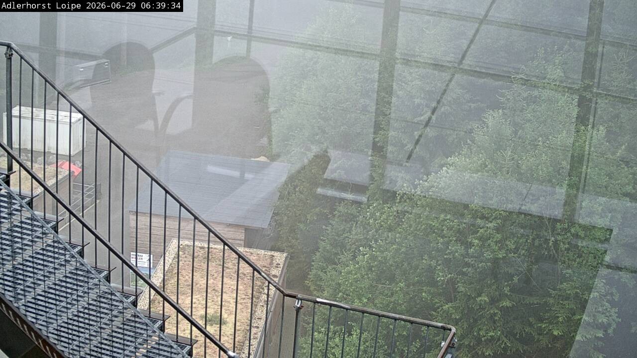 Archiv Foto Webcam Willingen: Adlerhorst Loipe