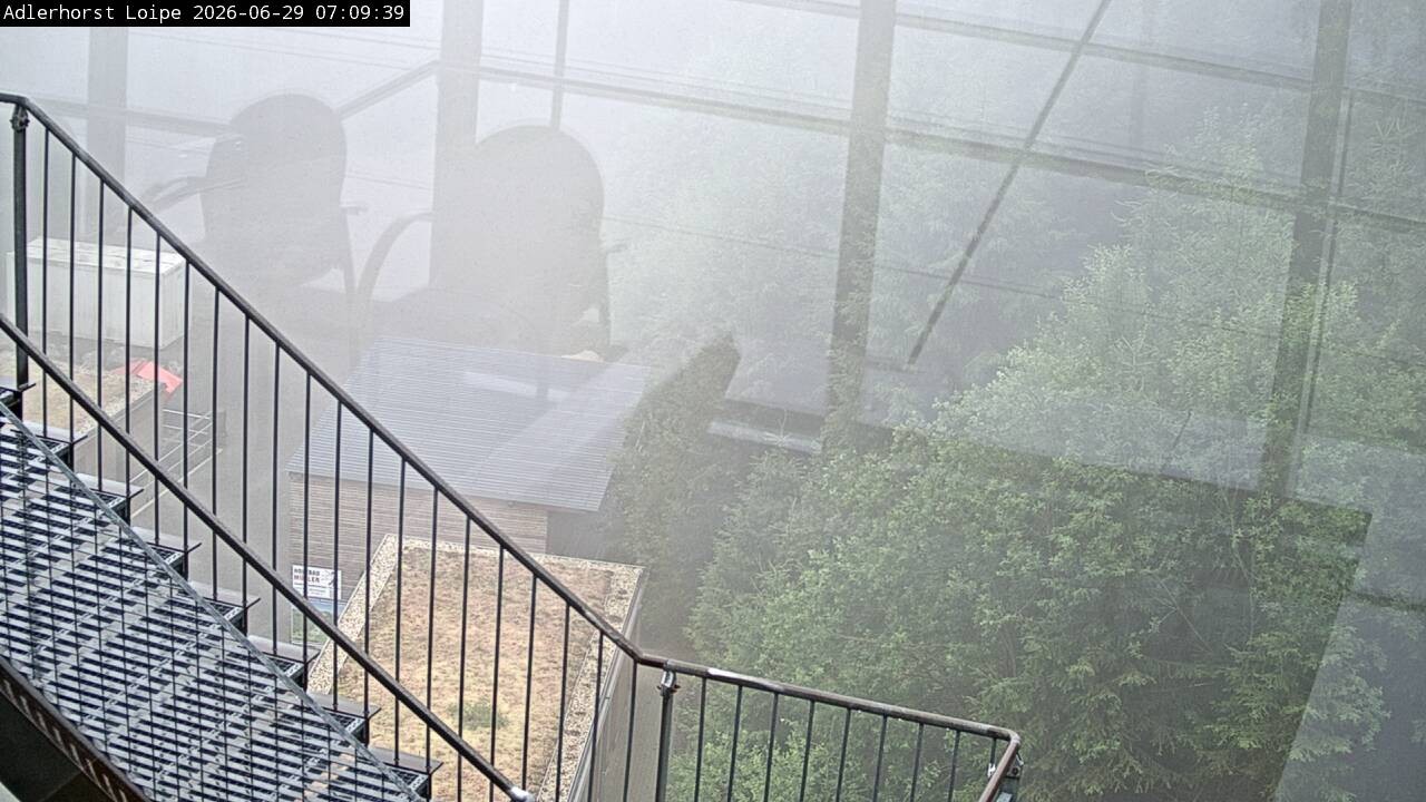 Archiv Foto Webcam Willingen: Adlerhorst Loipe