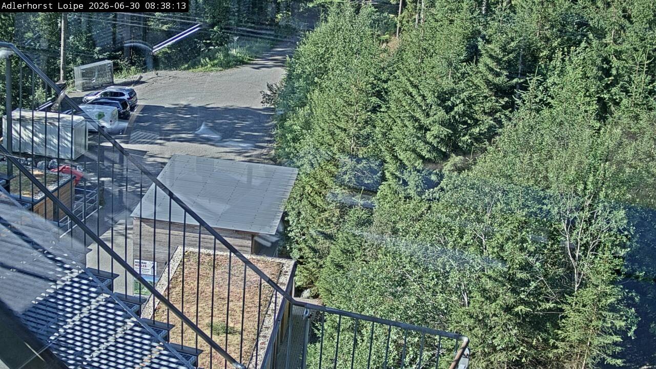 Archived image Webcam Willingen: Trail at Ski Jumping Area