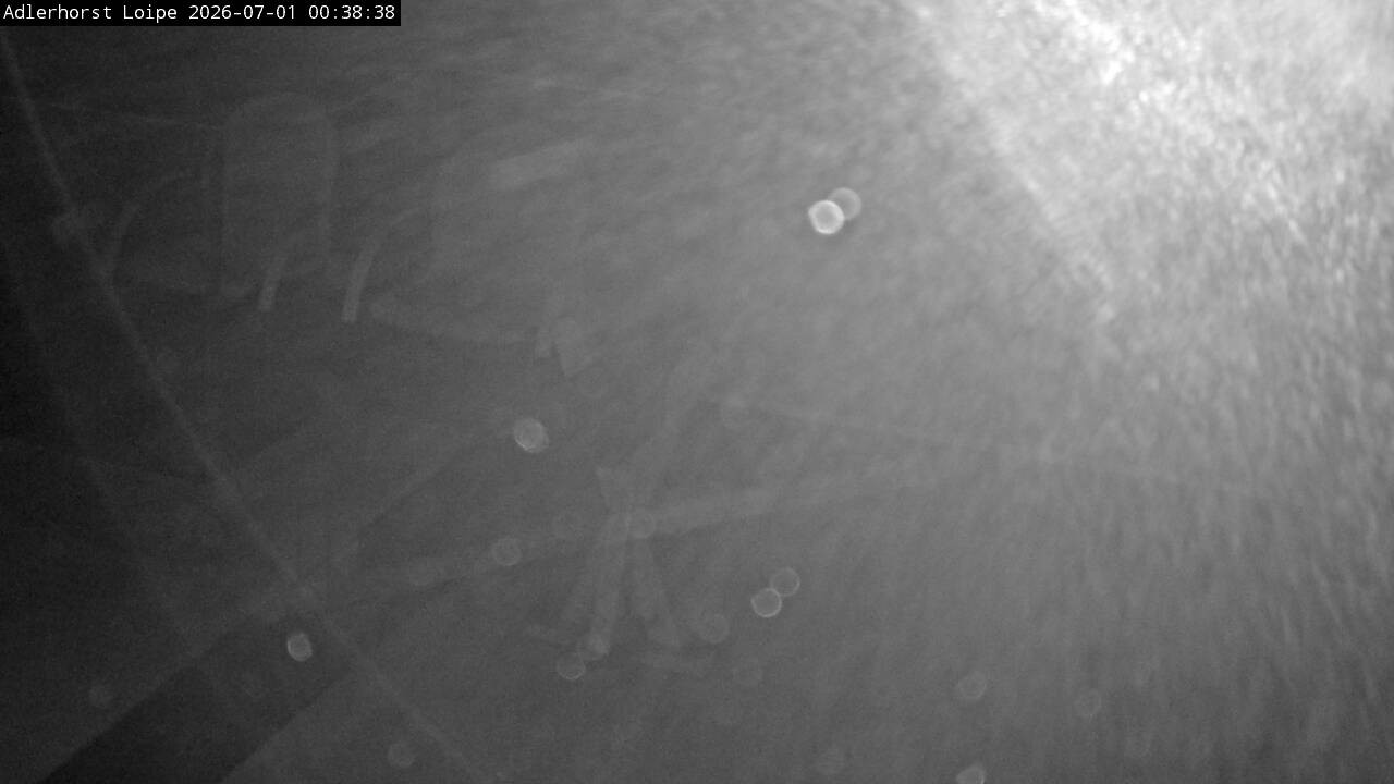 Archiv Foto Webcam Willingen: Adlerhorst Loipe