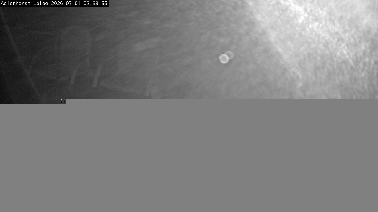 Archiv Foto Webcam Willingen: Adlerhorst Loipe