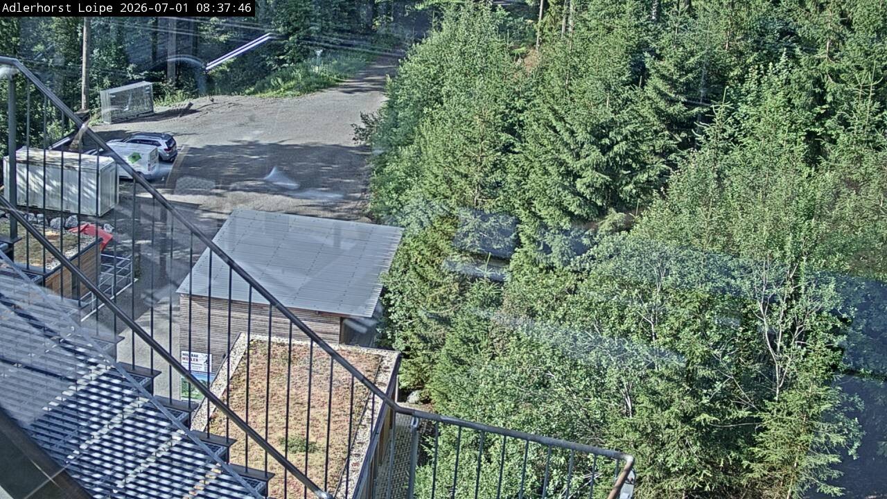 Archiv Foto Webcam Willingen: Adlerhorst Loipe