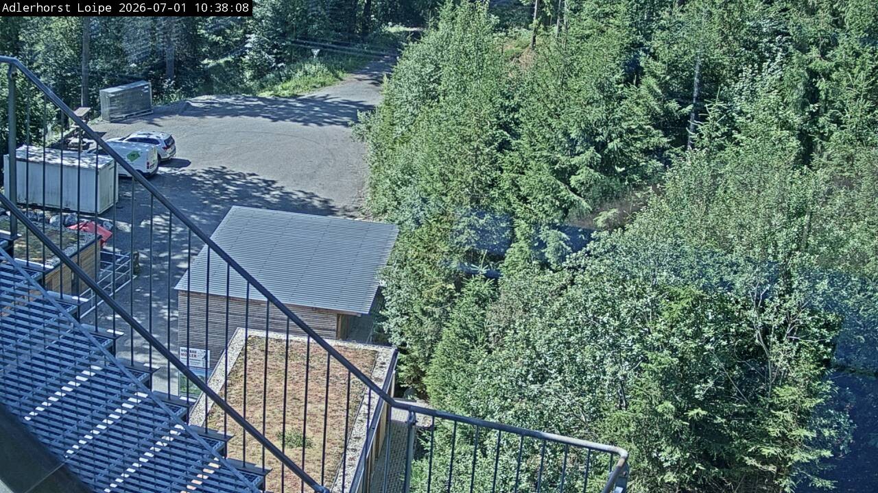 Archiv Foto Webcam Willingen: Adlerhorst Loipe