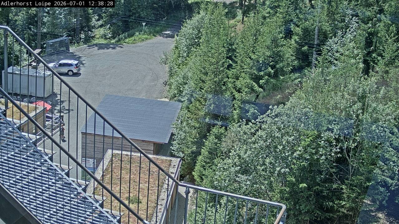 Archiv Foto Webcam Willingen: Adlerhorst Loipe