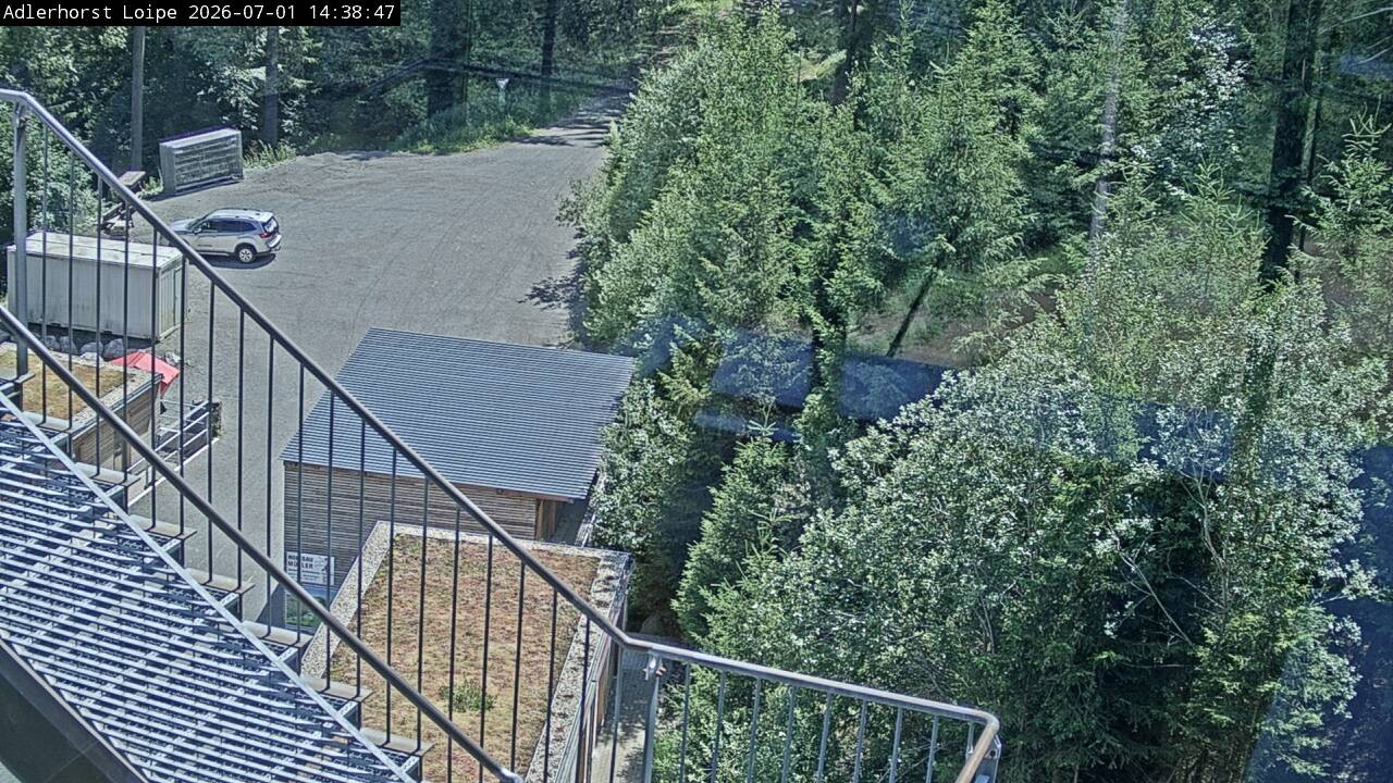 Archiv Foto Webcam Willingen: Adlerhorst Loipe
