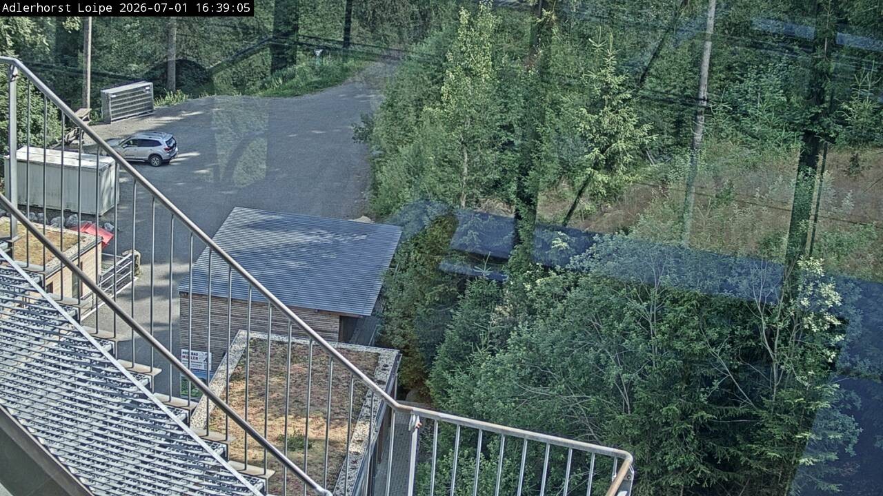 Archiv Foto Webcam Willingen: Adlerhorst Loipe