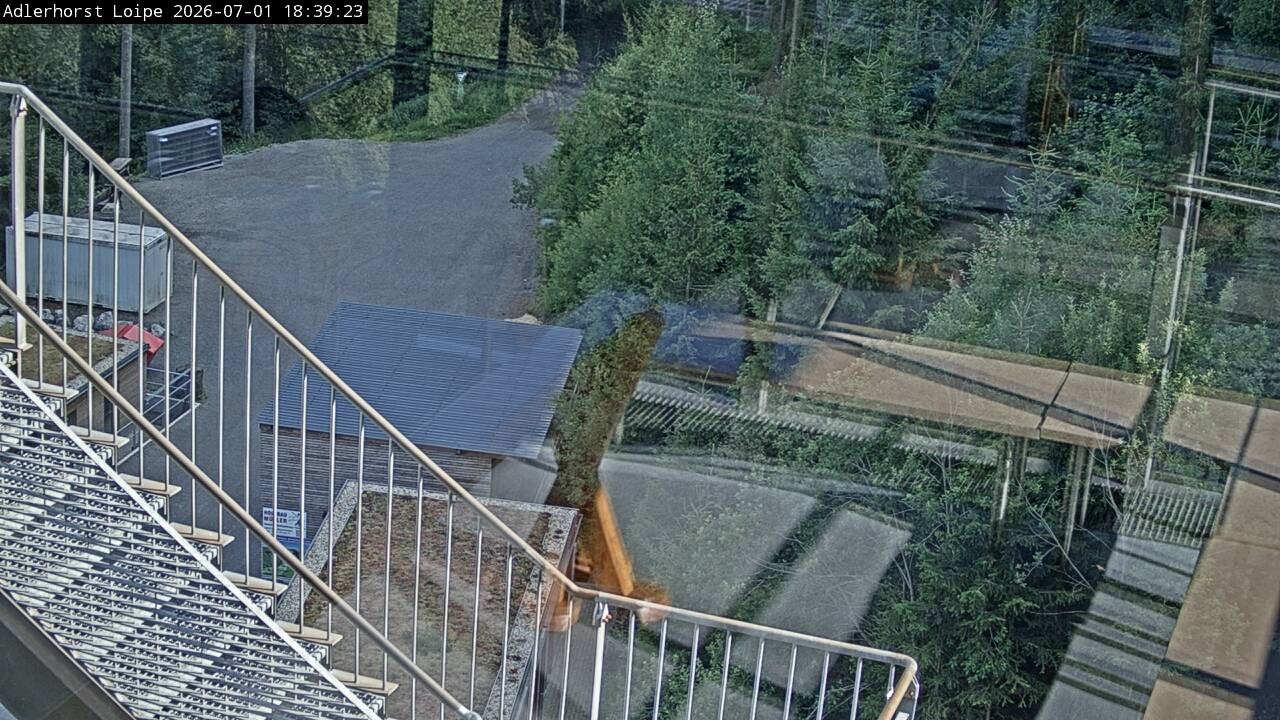 Archiv Foto Webcam Willingen: Adlerhorst Loipe