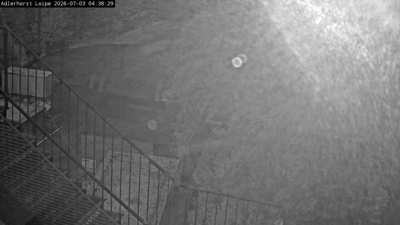 Archived image Webcam Willingen: Trail at Ski Jumping Area