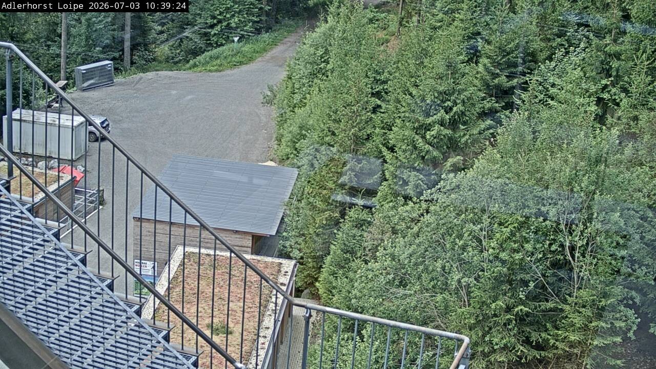 Archiv Foto Webcam Willingen: Adlerhorst Loipe