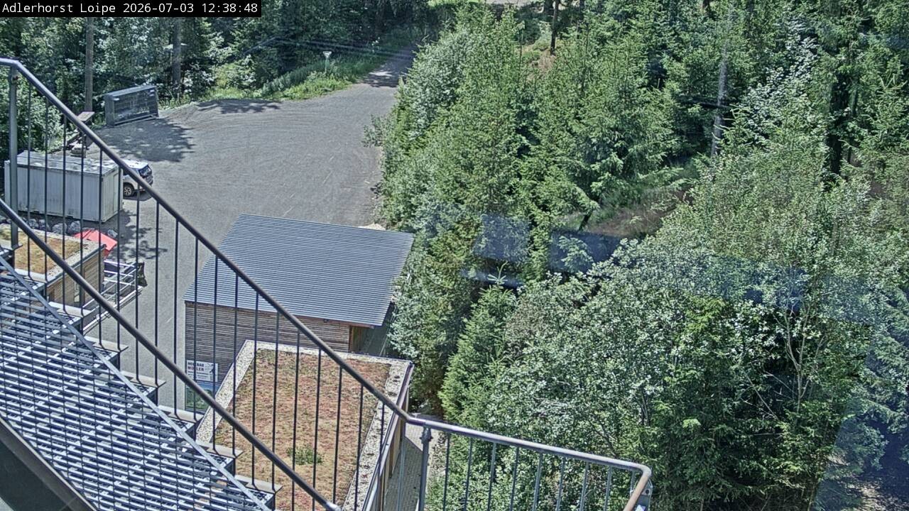 Archiv Foto Webcam Willingen: Adlerhorst Loipe