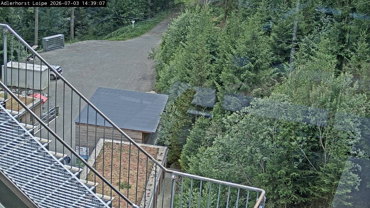 Archiv Foto Webcam Willingen: Adlerhorst Loipe