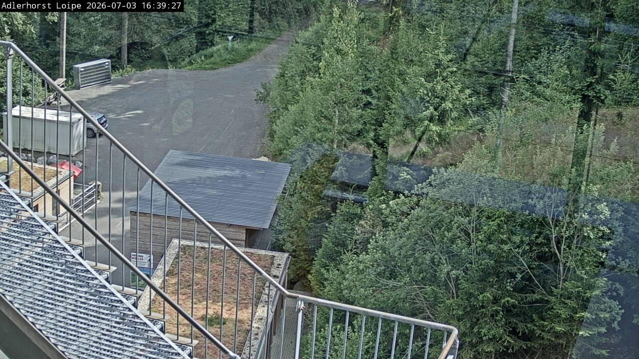 Archiv Foto Webcam Willingen: Adlerhorst Loipe