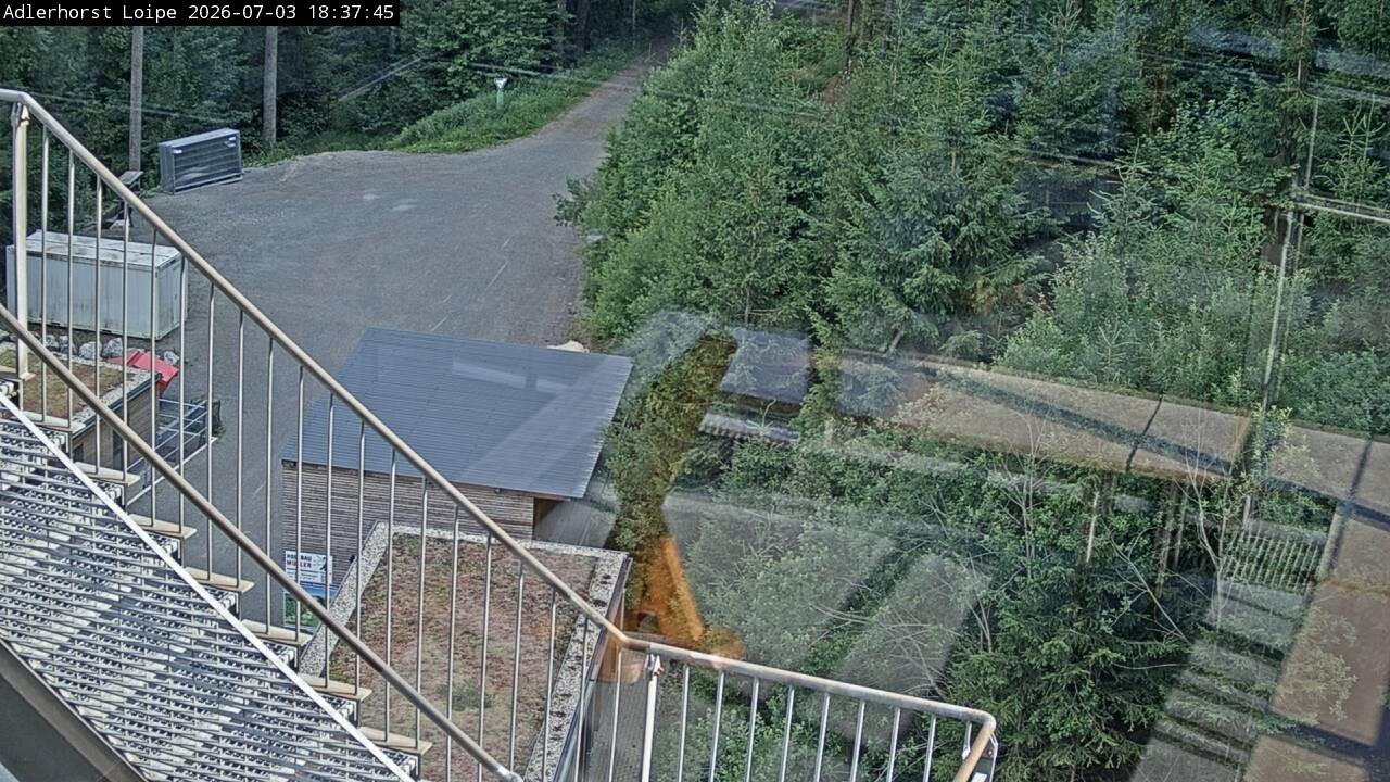 Archiv Foto Webcam Willingen: Adlerhorst Loipe