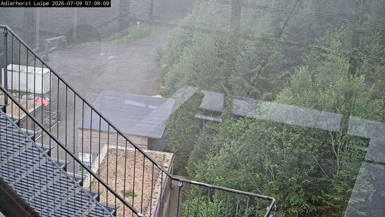 Archiv Foto Webcam Willingen: Adlerhorst Loipe