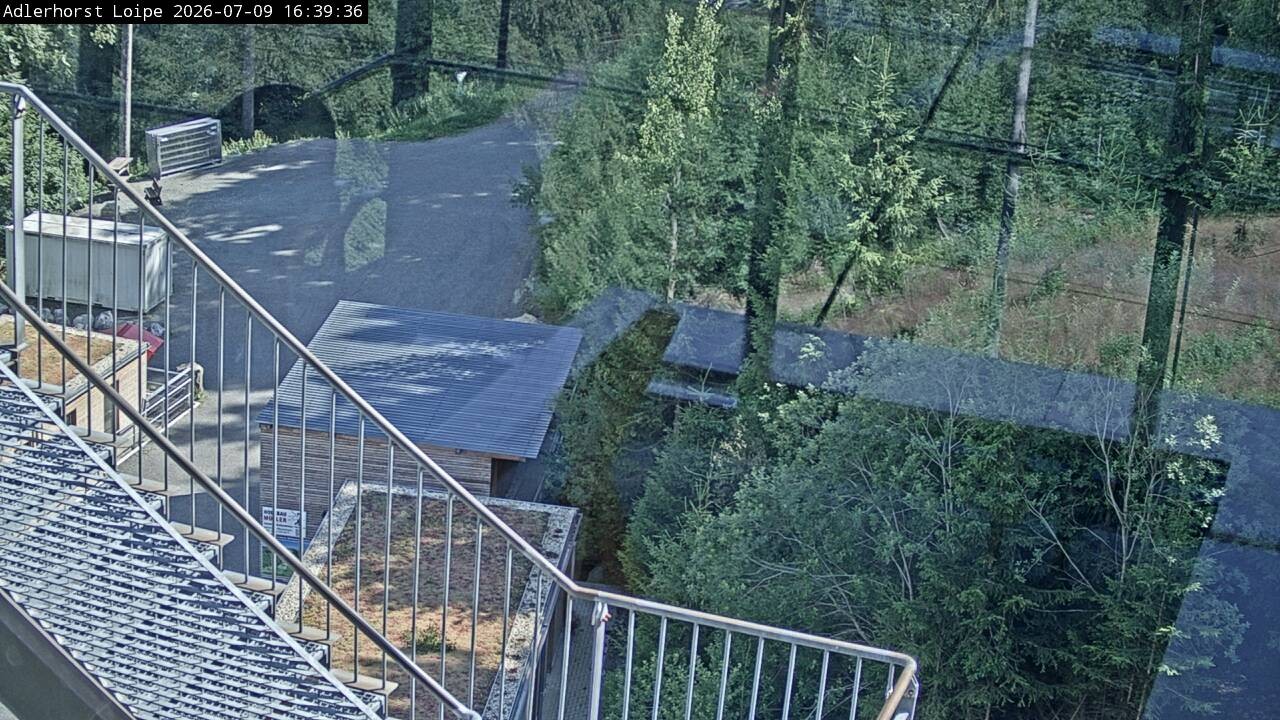 Archiv Foto Webcam Willingen: Adlerhorst Loipe