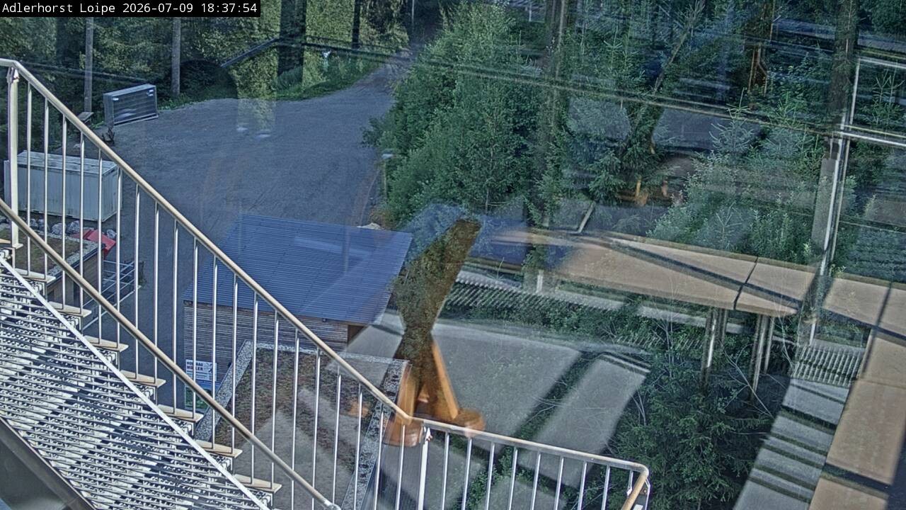 Archiv Foto Webcam Willingen: Adlerhorst Loipe
