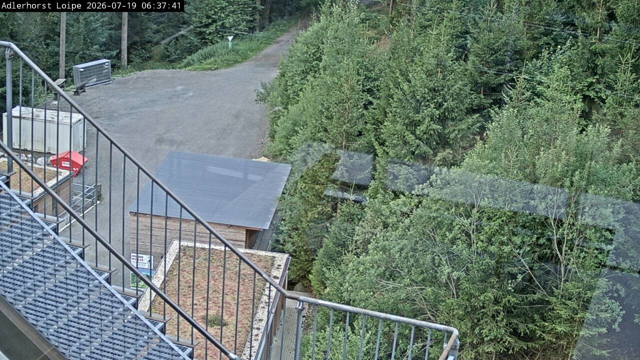 Archiv Foto Webcam Willingen: Adlerhorst Loipe