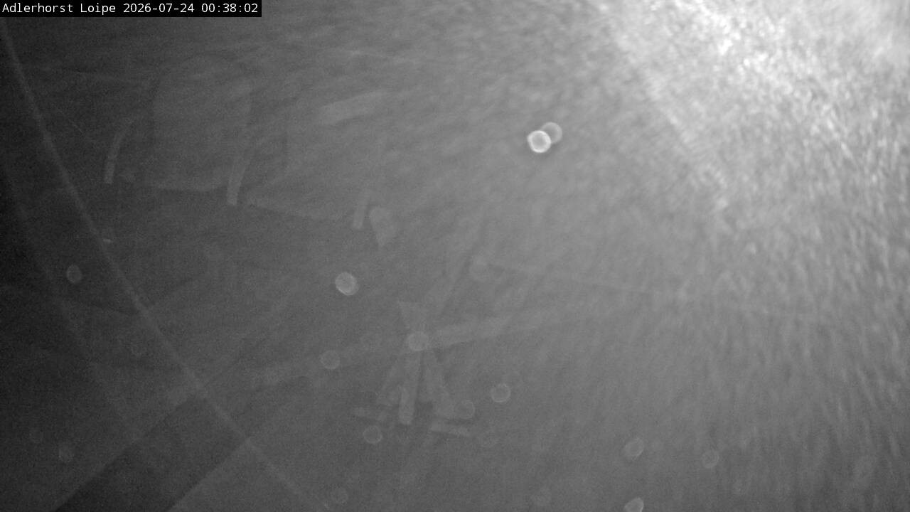 Archiv Foto Webcam Willingen: Adlerhorst Loipe