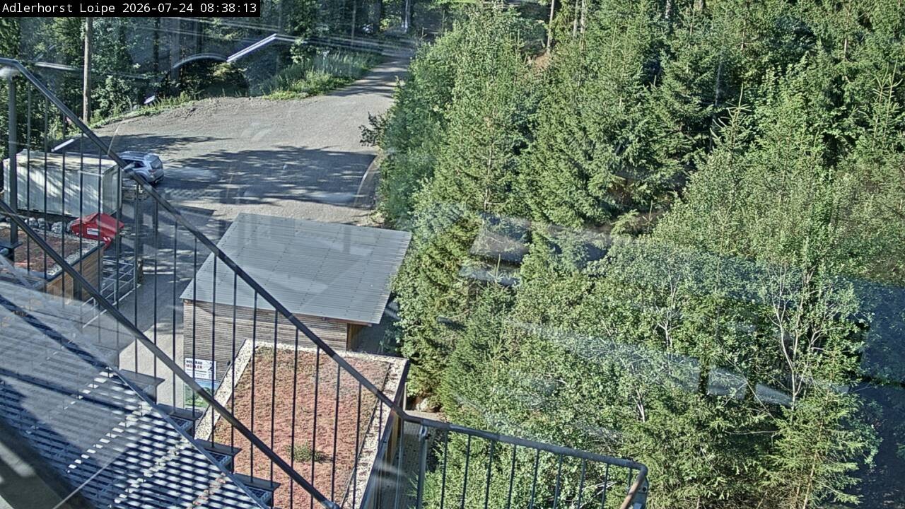 Archiv Foto Webcam Willingen: Adlerhorst Loipe